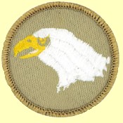 eagle patrol patch