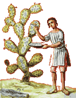 alzatecosecha.gif (8679 bytes)