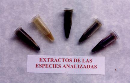 vialesextractos.jpg (16170 bytes)