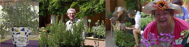 Garden herb wall