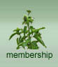 membership