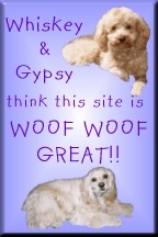 Gypsy & Whiskey
