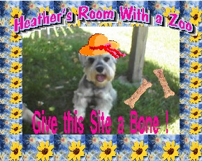 Daisy