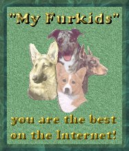 My furkids