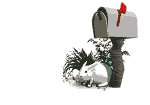 /user/Rabbit_and_mailbox.gif