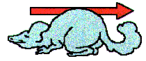 /user/creature.gif