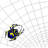 /user/spider2.gif