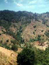 Many hillsides have been logged