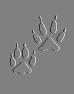 Wolf Prints!