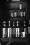 Bottles