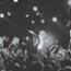 Live -Shoxx 135