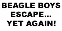 [Newspaper Headline]