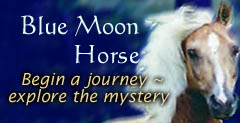 Visit Blue Moon Horse!