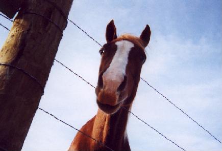 What are you looking at?