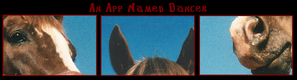 An App Named Dancer