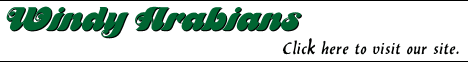 Visit Windy Arabians!