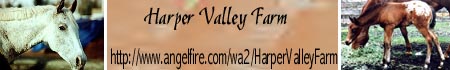 Visit Harper Valley Farm!