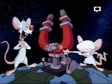 Click Here for Pinky and the Brain Pictures