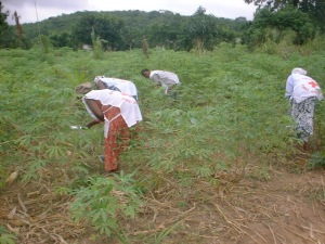 keeping field clear