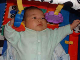../danlim_nz/Ben/ben_290602_11.jpg (26185 bytes)