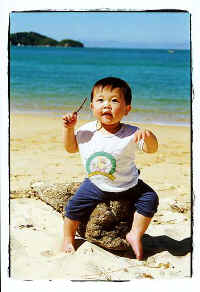 ../danlim_nz/Nelson/9425n08.jpg (33437 bytes)