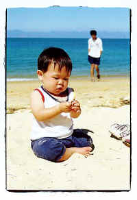 ../danlim_nz/Nelson/9425n15.jpg (27275 bytes)