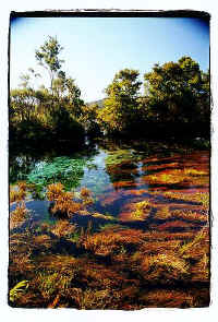 ../danlim_nz/Nelson/9425n24.jpg (57516 bytes)