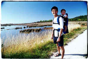 ../danlim_nz/Nelson/9426n06.jpg (46624 bytes)