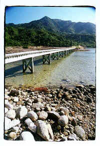 ../danlim_nz/Nelson/9426n07.jpg (60564 bytes)