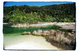 ../danlim_nz/Nelson/9426n17.jpg (54625 bytes)