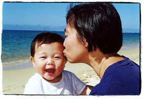 ../danlim_nz/Nelson/9426n27.jpg (31121 bytes)