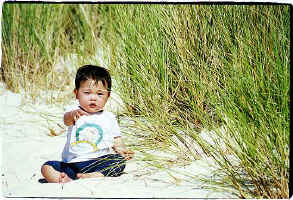 ../danlim_nz/Nelson/9426n30.jpg (59140 bytes)