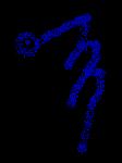 This Symbol is pronounced Danyael/Ce Symbole ce prononce Danyael