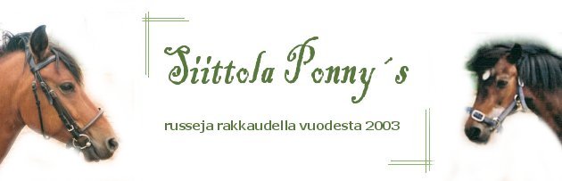 &copy; ponny.