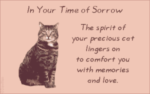 Pet Sympathy Card