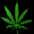 cannabis.gif - marijuana