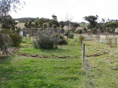 The site