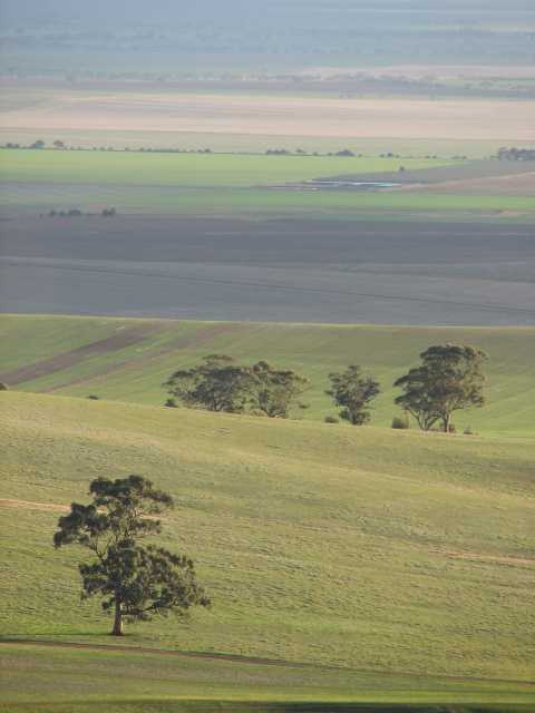 Blyth Plain