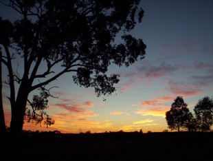 August sunrise