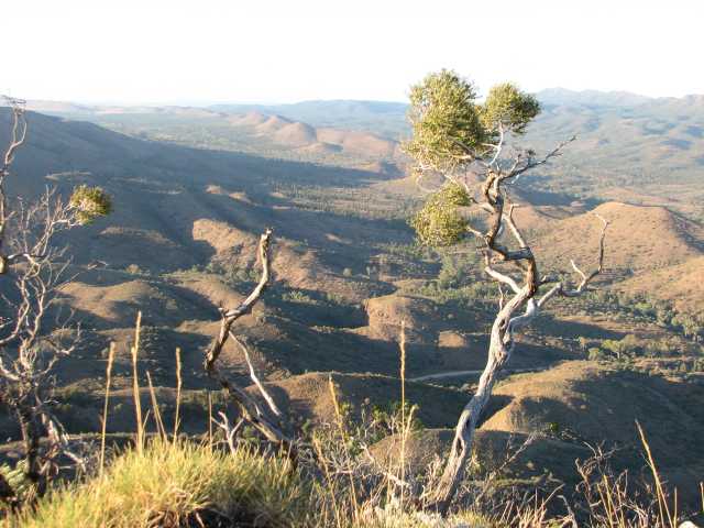 From an Angorichina hill