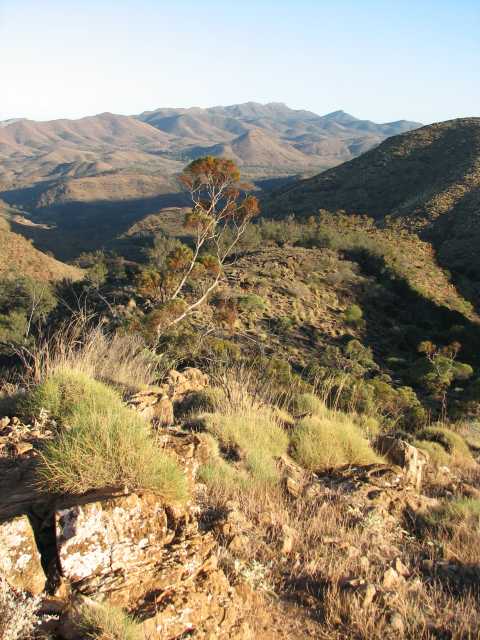 Angorichina hill
