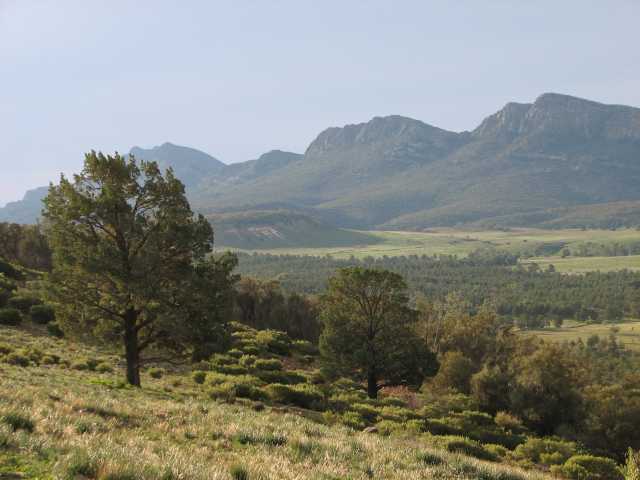 Rawnsley Park area