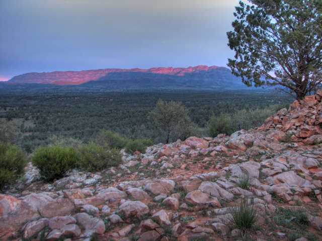 Elder sunrise
