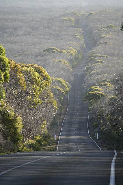 Road