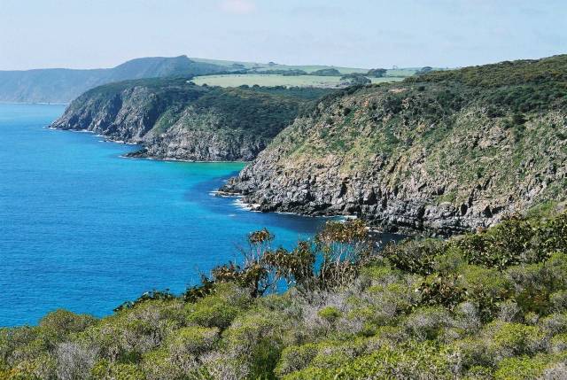 Scott Cove