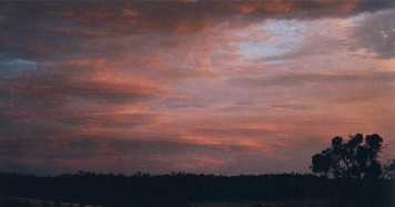 Sunset at 'Elysium'
