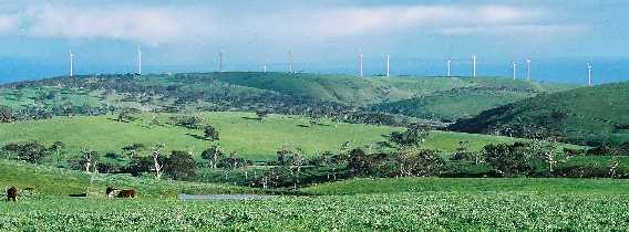 Wind turbines at Starfish Hill, SA.