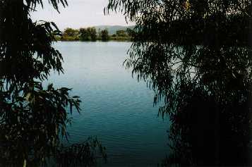 Napperby Reservoir, not often full