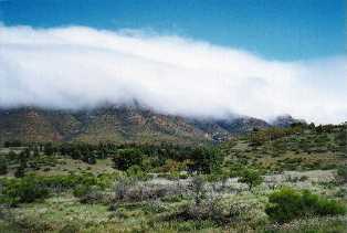 An unusual sight, Wilpena Pound covered in cloud, 
Flinders Ranges, S. Australia