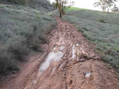 More damaged land